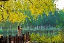 比分足球捷报-比分足球捷报，绿茵场上的荣耀与梦想交织