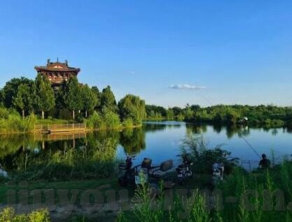 尼日利亚足球比分-尼日利亚足球比分，绿茵场上的荣耀与梦想交响曲