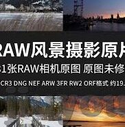 球 网足球比分网-揭秘网足球比分网，球迷的必备神器还是信息过载的陷阱？