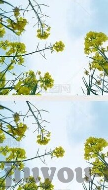 足球比分直播新浪体育-足球比分直播新浪体育，球迷的实时赛场伴侣